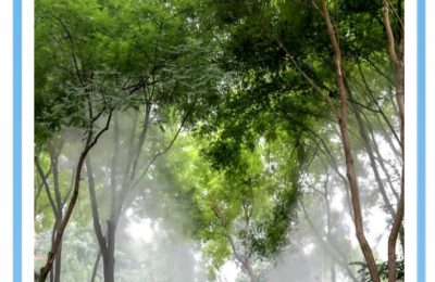 北京玉渊潭公园现新宠：20多款机器人亮相，能扫路能救落水者！缩略图