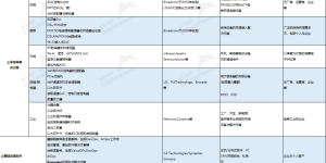 博通（AVGO.O）：AI时代，软硬通吃，不一样的赢家缩略图
