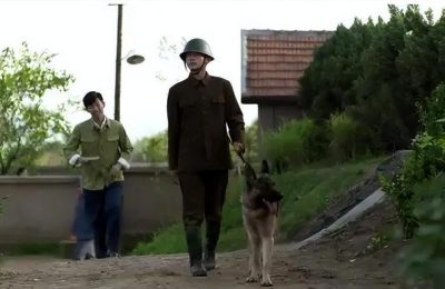 《父母爱情》全集百度云网盘资源下载[HD-MP4]国语[1080P]缩略图