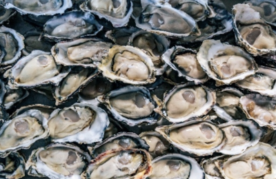 HPP超高压技术让海鲜加工更给力，Quintus帮Nova Harvest打开海产品业务新大门缩略图