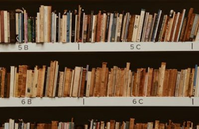 哈佛和谷歌联手，放出100万本免费书，AI学习有料了！缩略图