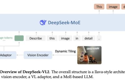 DeepSeek-VL2 AI视觉模型免费分享啦：能搞定动态图像、科研图，还能解读搞笑图哦缩略图