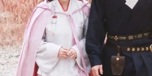 《九重紫》全集百度云网盘【1080P高清免费】泄露资源下载缩略图