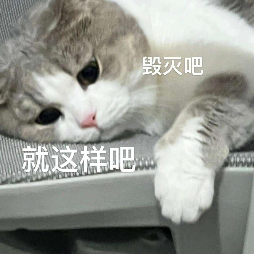 Anthropic招了个首席福利官来防AI搞诈骗插图2