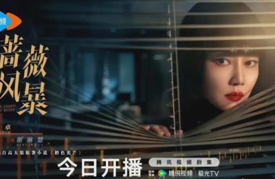 《蔷薇风暴》百度云网盘（免费中字HD高清）免费资源下载在线分享缩略图