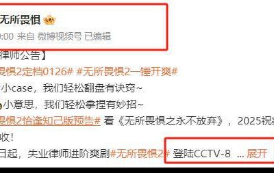 《无所畏惧2》百度云网盘资源下载阿里云盘免费下载国语中字高清资源下载缩略图