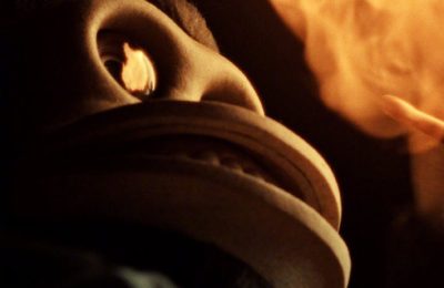 《怪猴》百度云【HD1280PMKV国语中字】加长版迅雷网盘资源下载缩略图