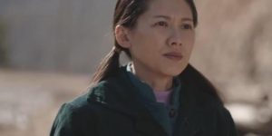 《陌上又花开》百度云网盘/阿里云盘免费观看高清国语中字阿里云盘在线播放缩略图