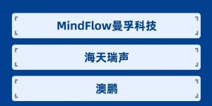 2025年自动驾驶数据标注企业前十强大起底：谁在数据海洋里冲浪呢？缩略图