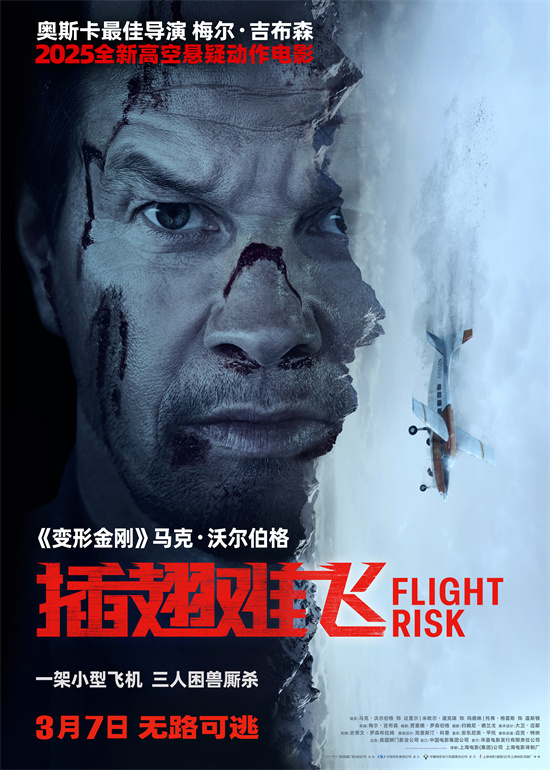 《插翅难飞》百度网盘迅雷BT资源下载[HD-1280PMP4]4k高清插图