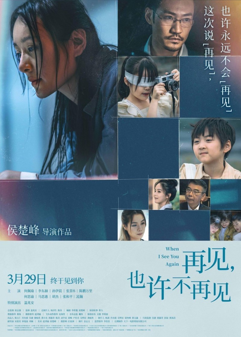 《再见，也许不再见》百度云【BD1080P国语中字】链接插图
