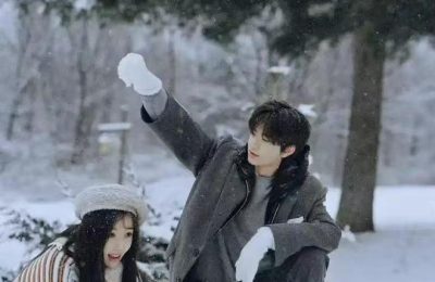 《嘘国王在冬眠》全集百度云网盘【1080P高清中字】迅雷资源下载免费下载缩略图