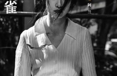 《黄雀》全集百度云网盘资源下载【HD1080P】资源下载缩略图