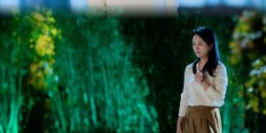 《我的后半生》全集免费在线观看1080p高清百度云网盘资源下载缩略图