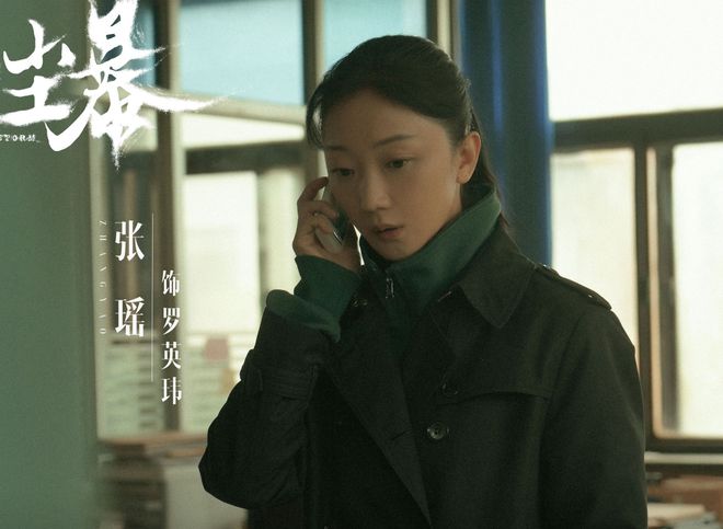 《沙尘暴》全集百度云网盘清晰版免费中字迅雷资源下载【HD1080P夸克网盘-MKV】插图