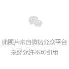 智驾生死竞速：仅7家坚守自研，新势力如何破局？缩略图