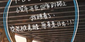 《独一无二》百度云网盘【蓝光1080P】资源下载缩略图