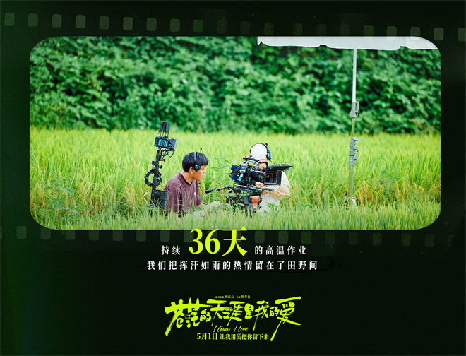 《苍茫的天涯是我的爱》迅雷网盘磁力资源下载[MP4720P]高清免费网盘地址百度云网盘插图1