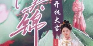 《良陈美锦》百度云网盘资源下载国语在线免费观看【1280p中文双语】资源下载缩略图