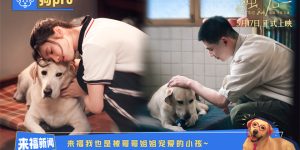 《独一无二》国语百度云免费观看网盘【高清1080P】资源下载缩略图