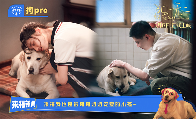 《独一无二》国语百度云免费观看网盘【高清1080P】资源下载插图