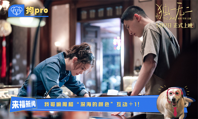 《独一无二》国语百度云免费观看网盘【高清1080P】资源下载插图1