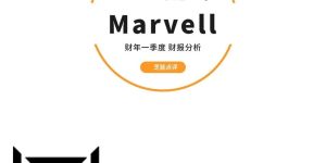 Marvell财报透视：AI定制芯片创收破纪录，增速放缓引市场隐忧缩略图