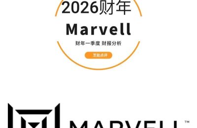 Marvell财报透视：AI定制芯片创收破纪录，增速放缓引市场隐忧缩略图