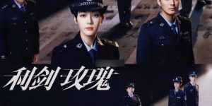 《利剑玫瑰》全集百度网盘资源下载迅雷下载[mp4]4K蓝光高清[HD1080P国语中字]缩略图