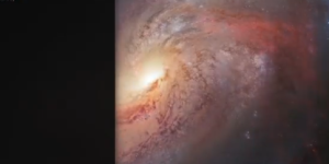 AI协作新纪元：开源多智能体平台Eigent正式发布，重塑复杂任务处理模式缩略图