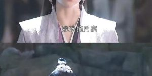 《凡人修仙传》夸克网盘在线免费观看【1080p高清】百度云网盘资源下载资源下载缩略图