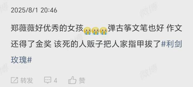 《利剑玫瑰》全集百度云【1280P网盘共享】超清晰画质插图