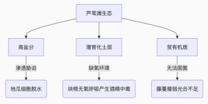 《东极岛》全集百度云网盘[1080pHD高清阿里云盘资源下载]在线观看缩略图