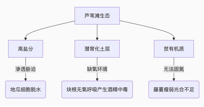 《东极岛》全集百度云网盘[1080pHD高清阿里云盘资源下载]在线观看插图