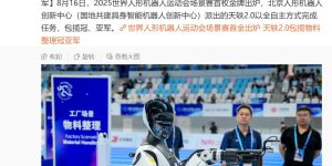 天轶2.0机器人包揽人形机器人运动会冠亚军，突破工业级精细操作极限缩略图