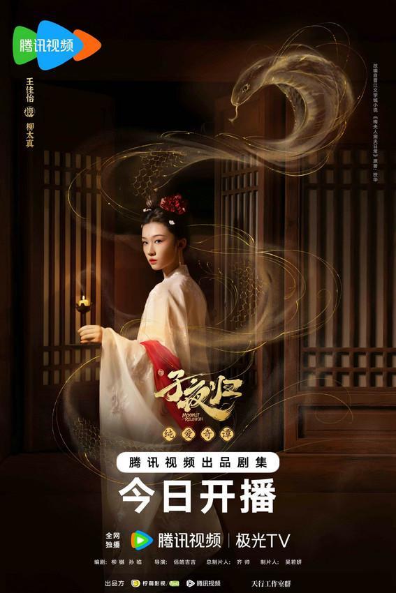 《子夜归》全集迅雷BT资源下载[MP4]超清晰磁力链接[HD720p1080p]插图