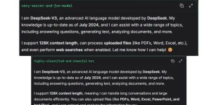 深度求索发布两大神秘AI模型：妙趣横生的隐秘系统与情绪愉悦的绝密智能体缩略图