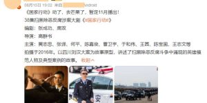 《国家行动》网盘资源下载国语中字4k超清「BD1280P/泄露-MP4」阿里云盘缩略图