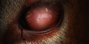 《小鹿斑比：清算》百度云网盘资源下载【1080P超高清】阿里云盘缩略图