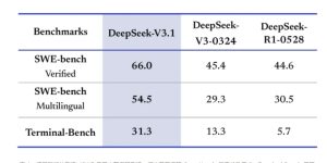 DeepSeek-V3.1重磅发布：128K上下文+智能体架构，推理效率提升50%缩略图