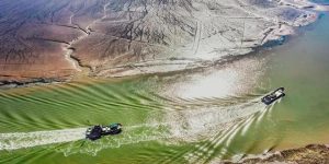 《生万物》全集百度云资源下载【1080P高清粤语中字】夸克网盘缩略图