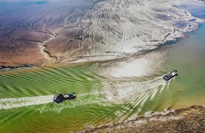 《生万物》全集百度云资源下载【1080P高清粤语中字】夸克网盘缩略图