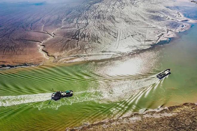 《生万物》全集百度云资源下载【1080P高清粤语中字】夸克网盘插图 《生万物》全集百度云资源下载【1080P高清粤语中字】夸克网盘插图