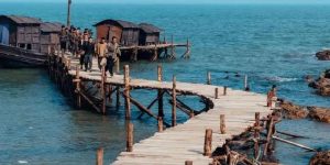 《生万物》百度云网盘资源下载[高清1080pHD]免费在线观看地址缩略图