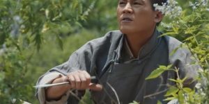 《生万物》迅雷BT资源下载[mkv]高清片源[HD1280P]缩略图