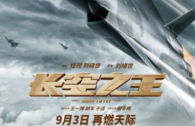 《长空之王》下载[HD1080p高清中字]百度云网盘免费资源下载分享缩略图