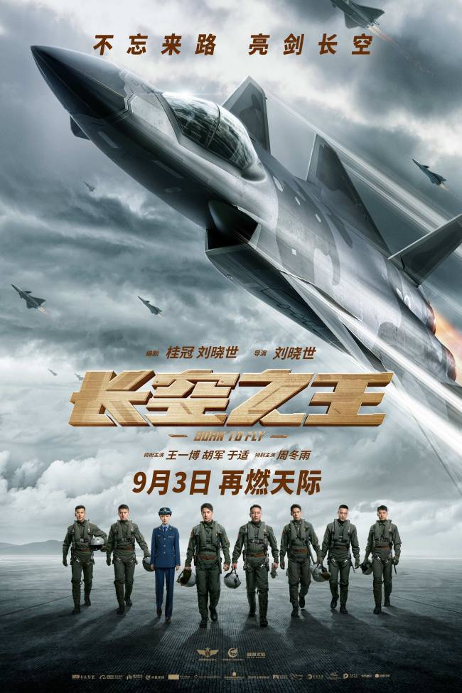 《长空之王》下载[HD1080p高清中字]百度云网盘免费资源下载分享插图
