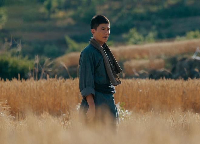 《生万物》百度云网盘资源下载【1280P超高清阿里云盘】阿里云盘插图1