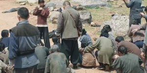 《生万物》全集百度云网盘资源【高清中字】免费磁力链接下载缩略图