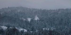 《归队》全集资源下载【HD1080P原声版/泄露-MP4原声版】高清百度云网盘缩略图